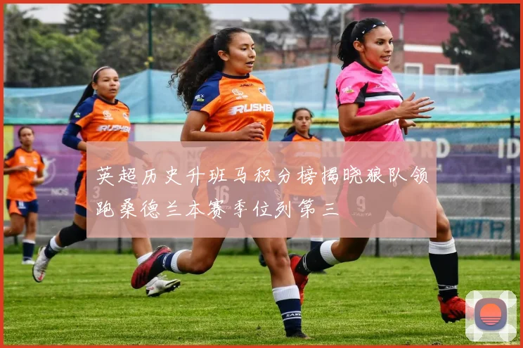 英超历史升班马积分榜揭晓狼队领跑桑德兰本赛季位列第三